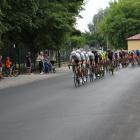 zdjęcie nr 22