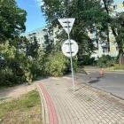 zdjęcie nr 20