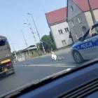 fot. KPP Wałcz