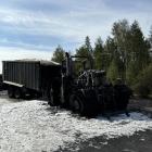 Fotka nr 2 z 13
