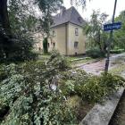zdjęcie nr 35