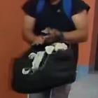 Fotka nr 0 z 1