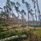 fot. RDLP Piła