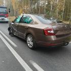 Fotka nr 5 z 7