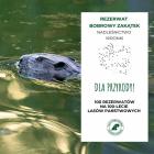 zdjęcie nr 8