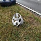 Fotka nr 4 z 7