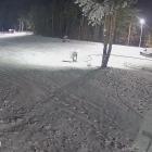 fot. Zdjęcie z kamery online/ ChodzieSki.com