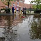 zdjęcie nr 10
