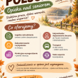 zdjęcie nr 