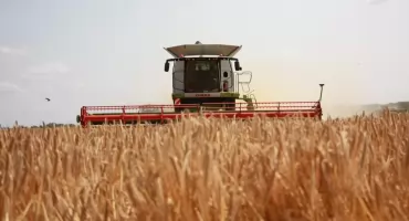 Komu przeszkadzają żniwa? Apel o wyrozumiałość