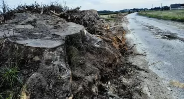 Trwa rozbudowa drogi 190 Podróżna-Bądecz i Margonin-Durowo 