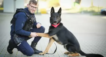 Pies policjant uratował życie innemu psu
