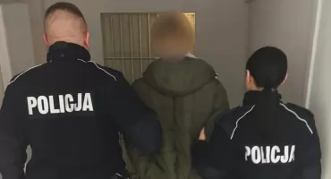 Naćpani za kółkiem. Policja zatrzymała siedem osób