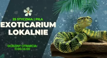 Egzotyczne zwierzęta z całego świata zawitają do Piły!