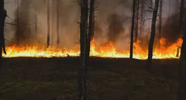  Ogromny pożar pod Trzcianką. Zaczęło się od pociągu?