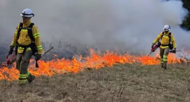 GFFF ćwiczy pod Chodzieżą gaszenie pożarów 
